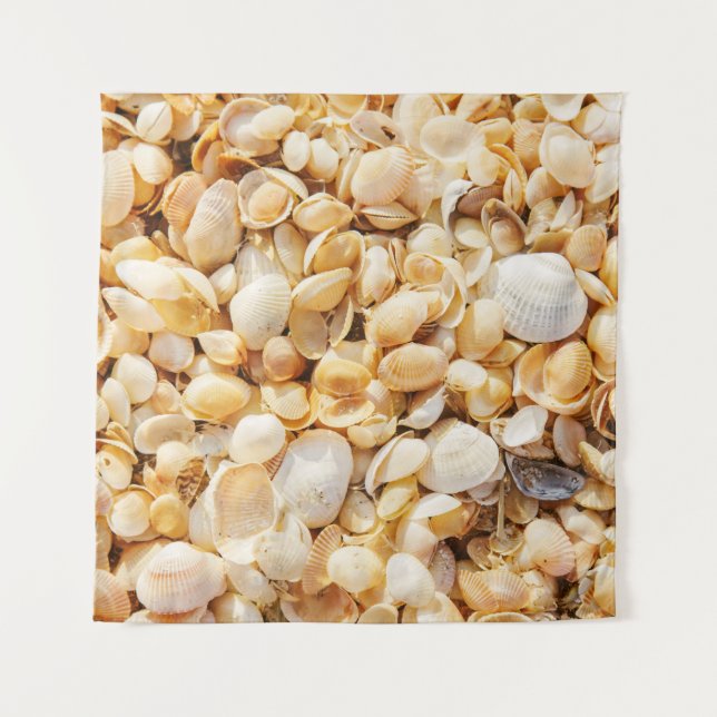 Tapete De Parede A praia de verão texturizou Seashell. (Frente)