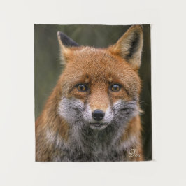 Tapete De Parede A Raposa Vermelha