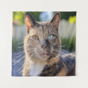 Tapete De Parede Adicionar Personalização de Foto de Cat