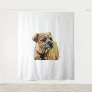 Tapete De Parede Affen Border Terrier