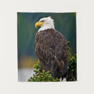 Tapete De Parede Águia Bald Americana Perch