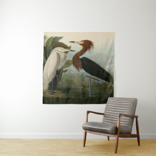 Tapete De Parede Arte de Pássaro: Gravura do Garça Roxa de Audubon: