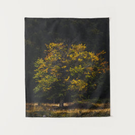 Tapete De Parede Árvore colorida do outono