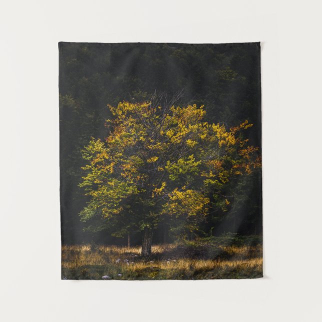 Tapete De Parede Árvore colorida do outono (Frente)