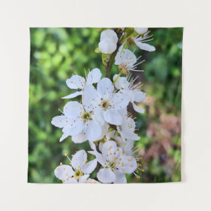 Tapete De Parede Árvore em Flor na Primavera Romênia – Fotografia d