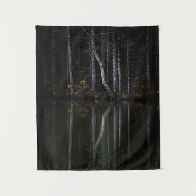 Tapete De Parede Árvores brancas refletindo no lago (Frente)