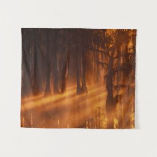 Tapete De Parede Árvores de Impressão Parque Estadual George Smit