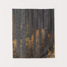 Tapete De Parede Árvores e folhagem de outono de ouro