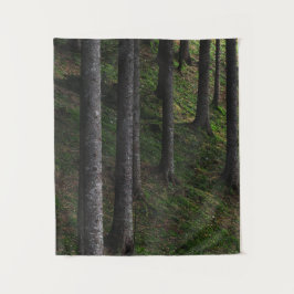 Tapete De Parede Árvores e musgo verde