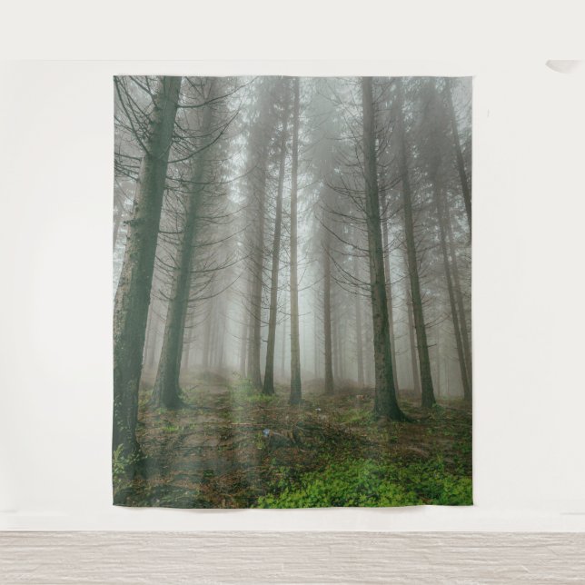 Tapete De Parede Árvores florestais de inverno #11 (Frente)