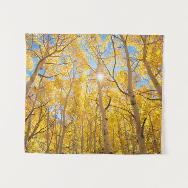 Tapete De Parede Aspen Árvores | Serra Nevada, CA (Frente (Horizontal))