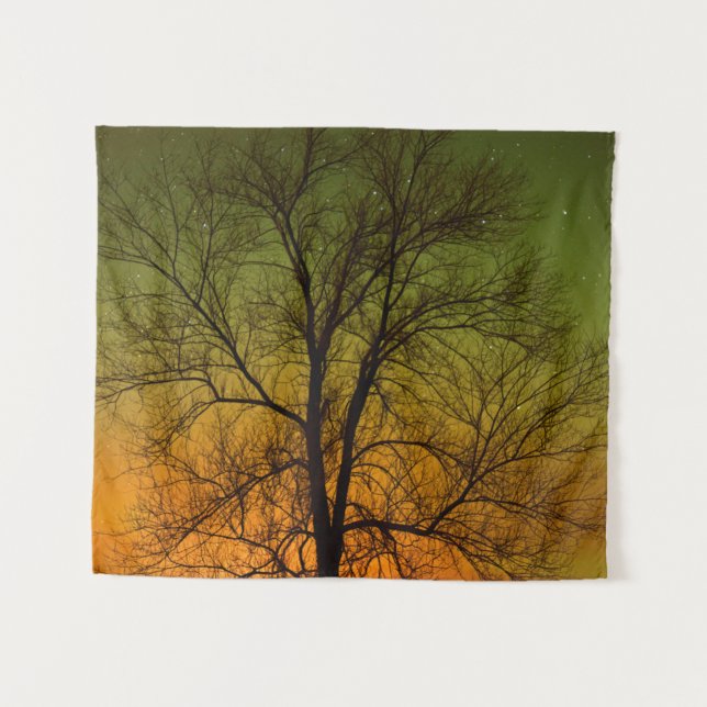 Tapete De Parede Aurora Borealis & Cottonwood Tree (Frente (Horizontal))