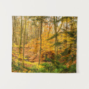 Tapete De Parede Autumn Woods Forest Tres Nature Small