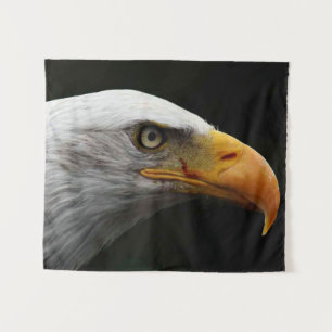 Tapete De Parede Bald Eagle wtcna