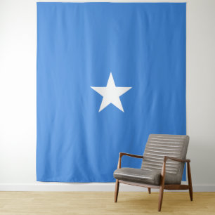 Tapete De Parede Bandeira Somália