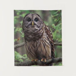 Tapete De Parede Barred Owl