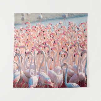Tapete De Parede Beautiful and Wild - Flamingosflock,greater,pink,d