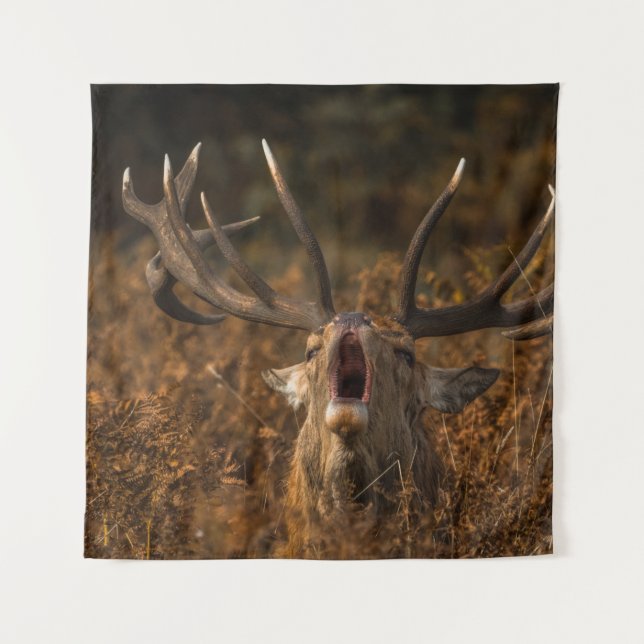TAPETE DE PAREDE BEAUTIFUL REINDEER WILD ANIMALS (Frente)