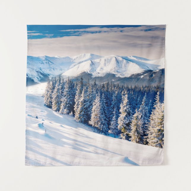 Tapete De Parede Beautiful winter landscape with snow covered trees (Frente)