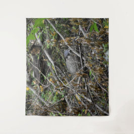 Tapete De Parede Beaver Ocupado