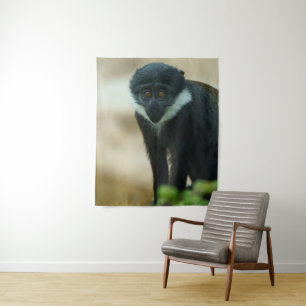 Tapete De Parede Bebê L’Hoest Macaco