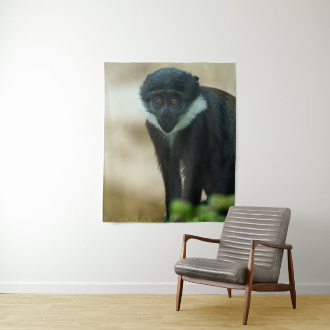 Tapete De Parede Bebê L’Hoest Macaco (In Situ)