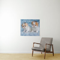 Bebês Mais Pobres | Calico Kitten Persa