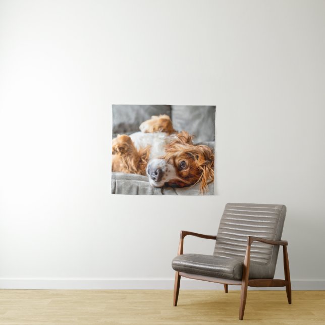 Tapete De Parede Bebês Mais Pobres | Cocker Spaniel (In Situ (Horizontal))