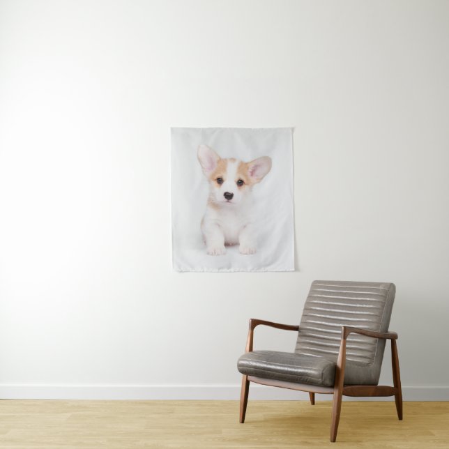 Tapete De Parede Bebês Mais Pobres | Corgi Branco (In Situ)