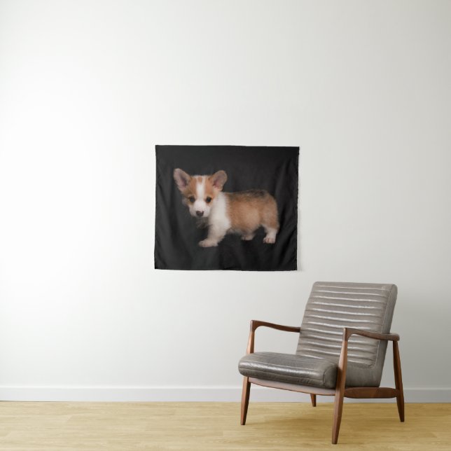 Tapete De Parede Bebês Mais Pobres | Tiny Corgi (In Situ (Horizontal))
