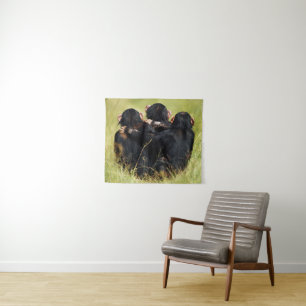 Tapete De Parede Bebês Mais Pobres   Três Chimpanzés
