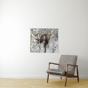 Tapete De Parede Bebês Mais Pobres Vitelo de Moose
