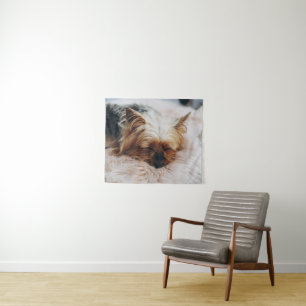 Tapete De Parede Bebês Mais Pobres Yorkshire Terrier
