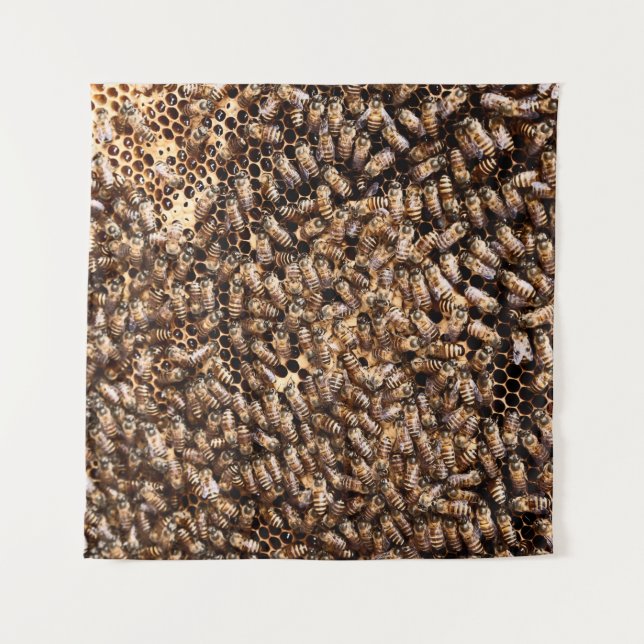 TAPETE DE PAREDE BEEHIVE (Frente)