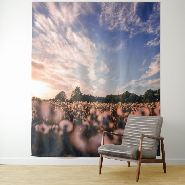 Tapete De Parede belo céu sobre o plano (In Situ)