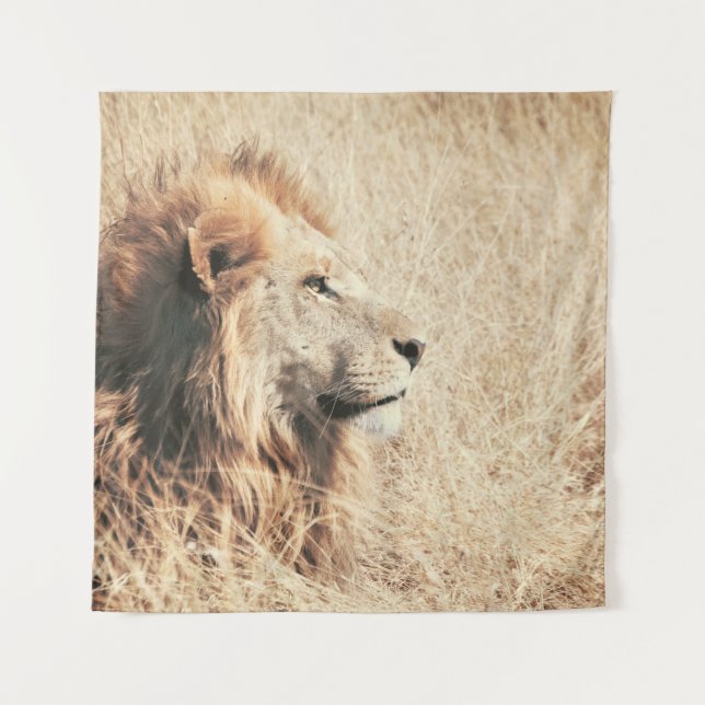 TAPETE DE PAREDE BELO LION (Frente)