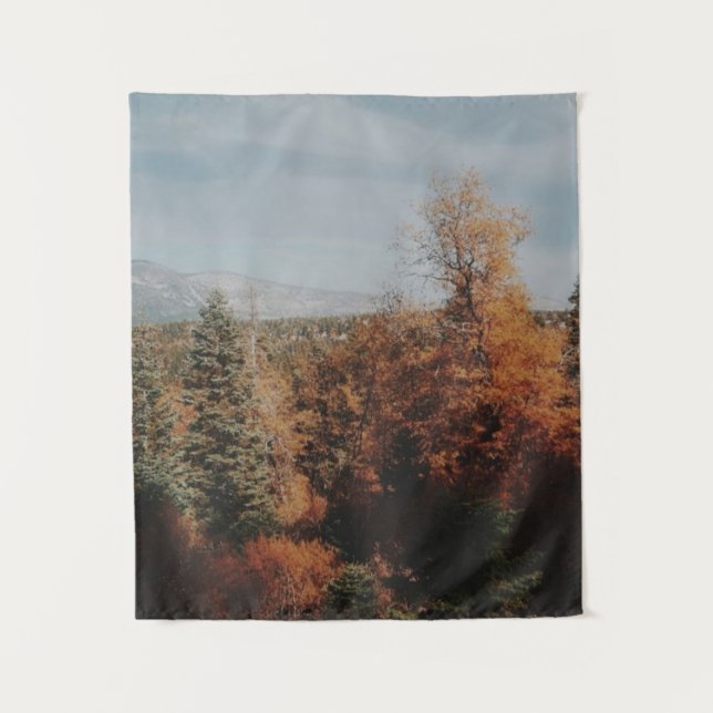 Tapete De Parede Big Bear - Califórnia (Frente)