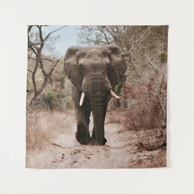 TAPETE DE PAREDE BLACK ELEPHANT WALKING ON BROWN SAND (Frente)