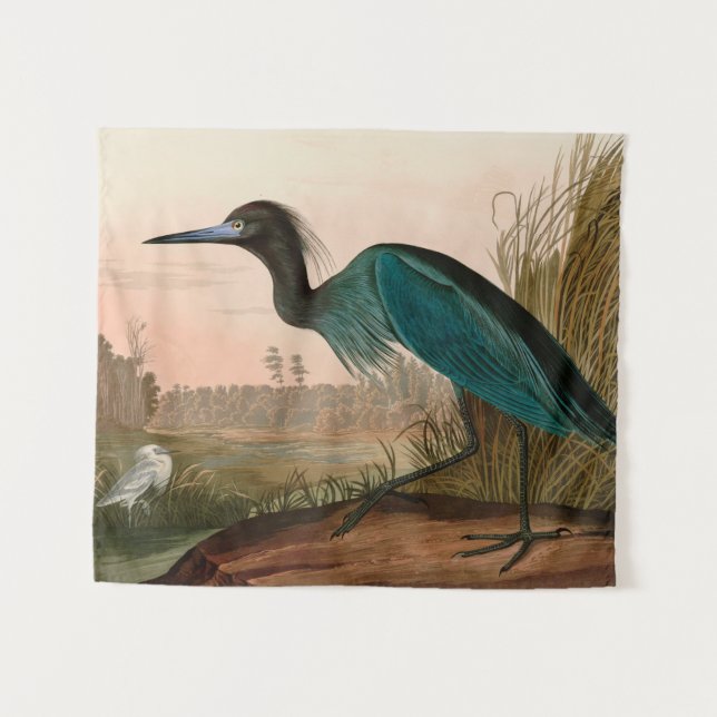 Tapete De Parede Blue Crane ou Heron Birds of America Audubon Impre (Frente (Horizontal))