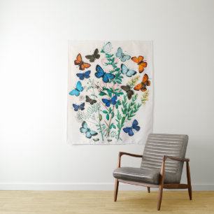 Tapete De Parede Borboletas, lagartas de William Forsell Kirby