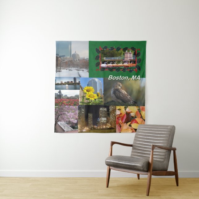 Tapete De Parede Boston, Massachusetts (In Situ)