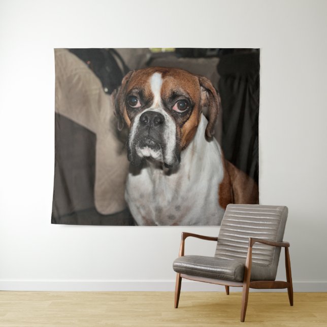 Tapete De Parede Boxer (In Situ (Horizontal))