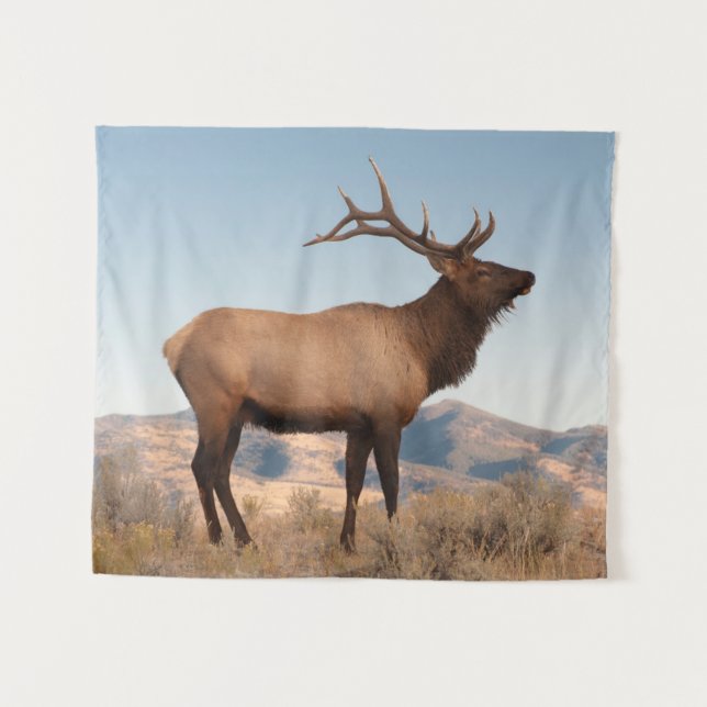 Tapete De Parede Bull Elk perto de Mammoth | Wyoming (Frente (Horizontal))