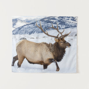 Tapete De Parede Bull Elk Wyoming