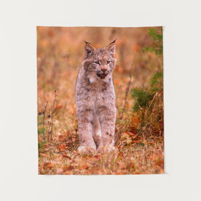 Tapete De Parede Caça do Lince | Floresta de Outono (Frente)