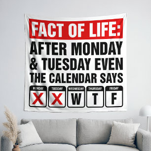 Tapete De Parede Calendário Facto da Vida Diz Humor WTF