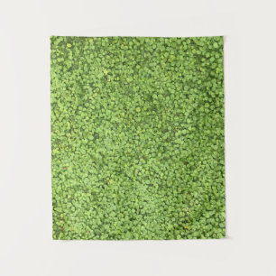 Tapete De Parede Campo de planta verde