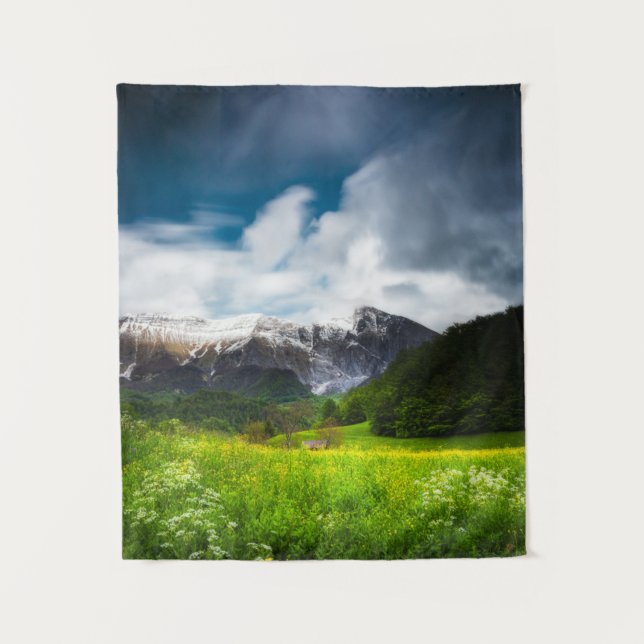 Tapete De Parede Campo de primavera sob a montanha Krn (Frente)