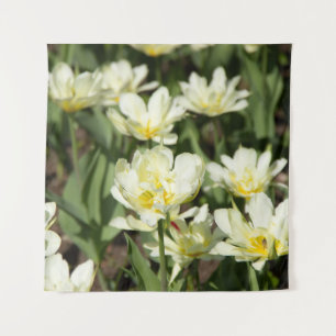 Tapete De Parede Campo de tulipas brancas Foto