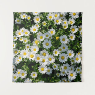 Tapete De Parede Campo primavera Daisy: Fundo Serene